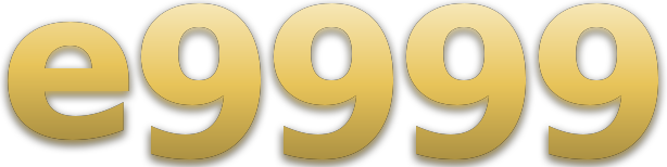 e9999 logo